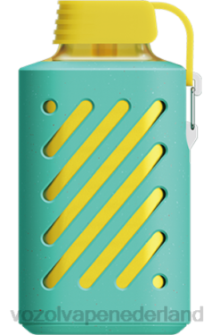 Vozol Nederland - VOZOL GEAR 10000 miami munt X40H298