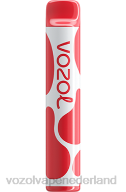 Vozol Nederland - VOZOL JOYGO 600 kersen ijs X40H378