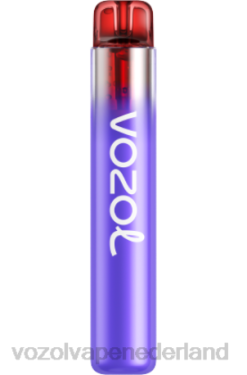 Vozol Nederland - VOZOL NEON 800 bramen ijs X40H282
