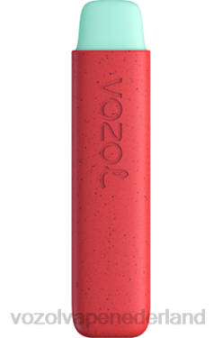 Vozol Nederland - VOZOL STAR 550 appel perzik X40H138