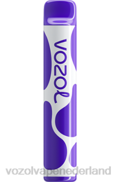 Vozol Prijs - VOZOL JOYGO 600 druiven ijs X40H381