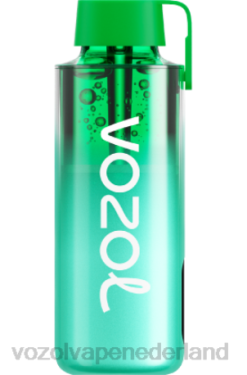 Vozol Prijs - VOZOL NEON 10000 miami munt X40H229