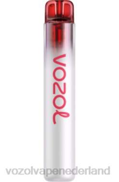 Vozol Prijs - VOZOL NEON 800 appel perzik X40H261