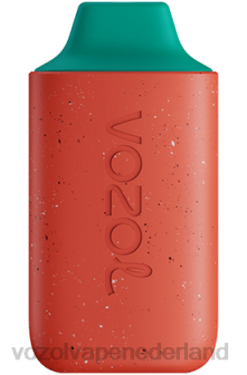 Vozol Prijs - VOZOL STAR 6000 lychee guave watermeloen X40H117