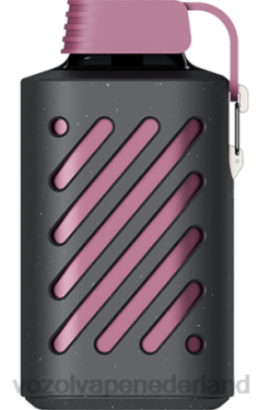Vozol Vape Kopen - VOZOL GEAR 10000 passievrucht framboos mandarijn X40H300