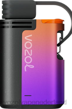 Vozol Vape Kopen - VOZOL GEAR 4000c/6000 bosbessenstorm X40H324