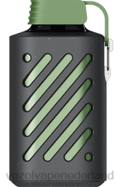 Vozol Vape Nederland - VOZOL GEAR 10000 weelderig ijs X40H297