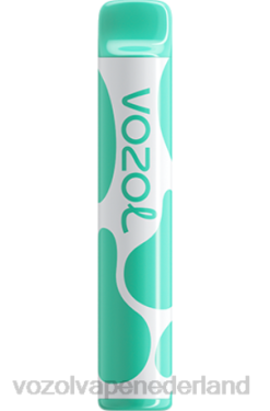 Vozol Vape Prijs - VOZOL JOYGO 600 menthol X40H387