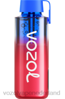 Vozol Vape Prijs - VOZOL NEON 10000 bevroren aardbei-kiwi X40H227
