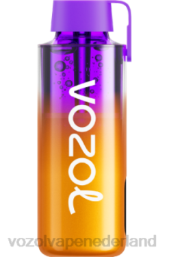 Vozol Vape Prijs - VOZOL NEON 10000 gemengde bessen X40H235