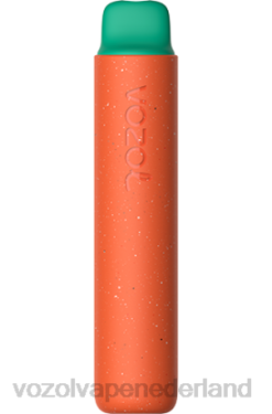 Vozol Vape Prijs - VOZOL STAR 2000 frambozen watermeloen X40H163