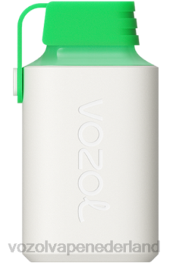 Vozol Vape Primera - VOZOL GEAR 600 citroen mojito X40H352