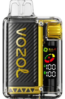 Vozol Vape Primera - VOZOL VISTA 16000/20000 mango-ijs X40H8