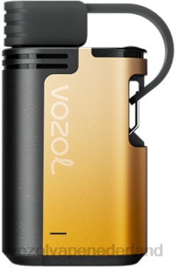 Vozol Vapes Kopen - VOZOL GEAR 4000c/6000 mango-passievrucht X40H327