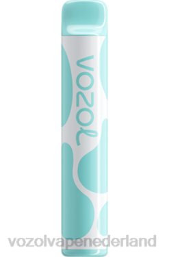 Vozol Vapes Kopen - VOZOL JOYGO 600 regenboog snoep X40H391