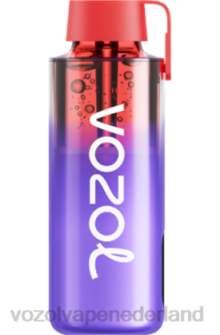 Vozol Vapes Kopen - VOZOL NEON 10000 blauw razz-ijs X40H231