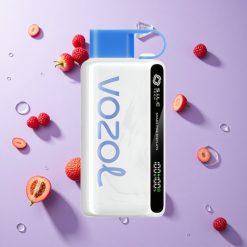 Blauwe Framboos Ijs VOZOL STAR Wegwerp Vape tot 9000/12000 Puffs met 650mAh Batterijcapaciteit en Schudden voor display