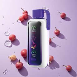 Druif IJs VOZOL Star 20000 Puffs Wegwerp Vape met 2.2" HD spiegelscherm en Dual mesh