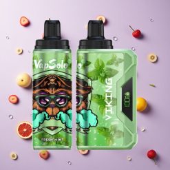 Verse Munt VapSolo VIKING 12000 Puffs Wegwerp Vape 22ml 20mg/ml, 50mg/ml Nicotine Sterkte