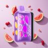 Watermeloen Razz Rancher VOZOL RAVE 40000 Wegwerp Vape 1000mAh Batterijcapaciteit 20/50mg/ml Nicotine