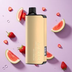 Aardbei Kokosnoot Watermeloen Alibarbar Ingot 9000 Puffs 22ml E-liquid capaciteit 2350mah Batterij Capaciteit