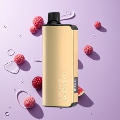 Bosbes IJs Alibarbar Ingot 9000 Puffs Wegwerp Vape 22ml Vloeistof Capaciteit 2350mah Batterij Capaciteit